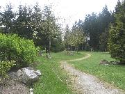 neaighborhood trail just outside of apartment