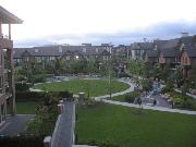 view from patio