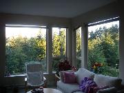 Nice View