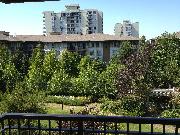 view from balcony