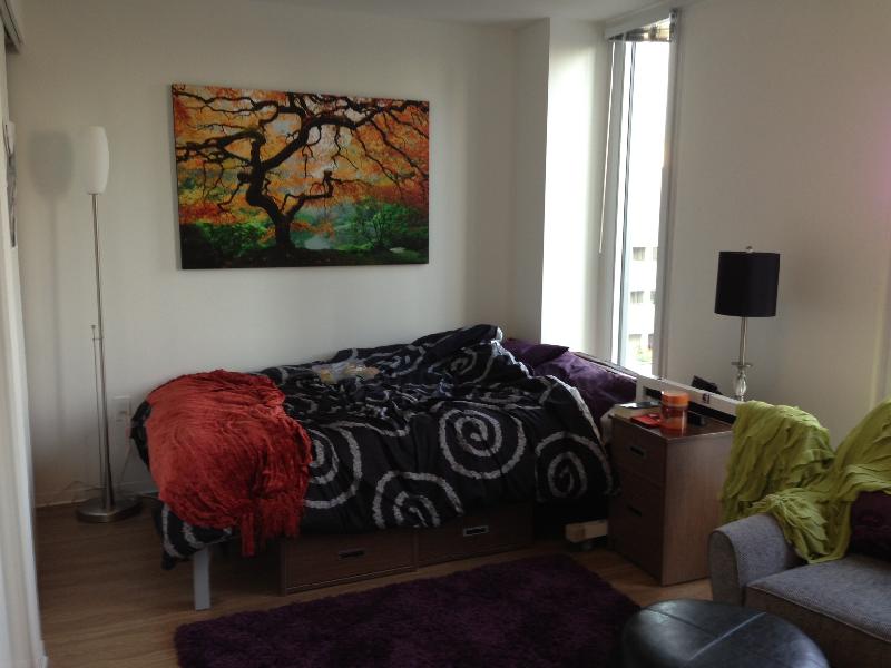 Studio Apartment For Rent Ubc at Betty Storm blog