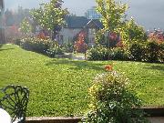 South-facing inner courtyard with 3 levels of lawn